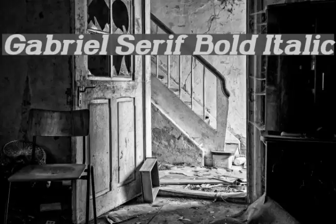 Gabriel Serif Bold Italic Font examples