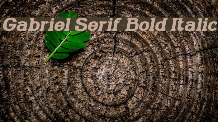 Gabriel Serif Bold Italic Example 3