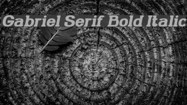 Gabriel Serif Bold Italic Font examples