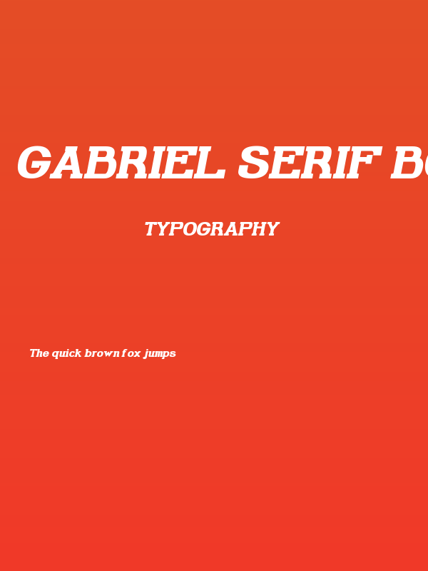 Gabriel Serif Bold Italic Poster