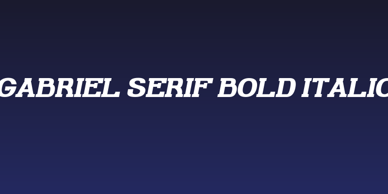Gabriel Serif Bold Italic Social Header