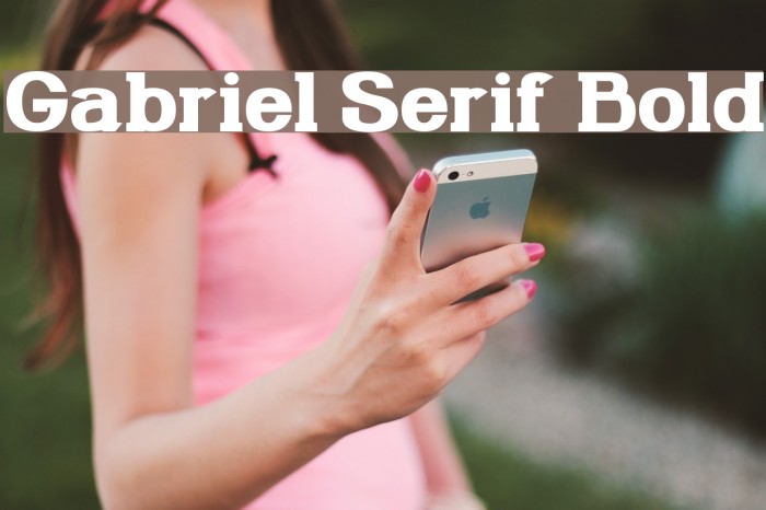 Gabriel Serif Bold Example 1