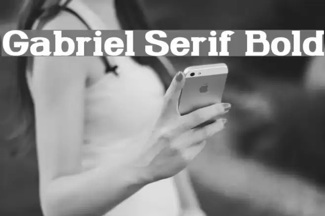 Gabriel Serif Bold Font examples