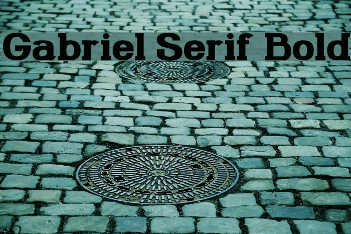 Gabriel Serif Bold Example 2