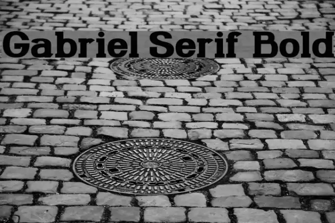 Gabriel Serif Bold Font examples