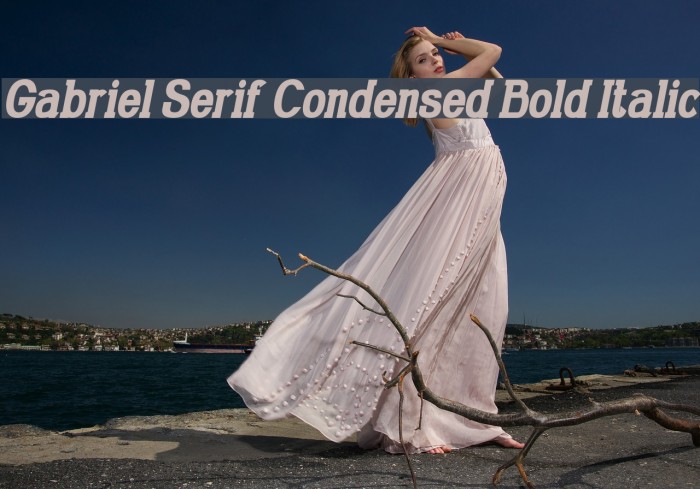 Gabriel Serif Condensed Bold Italic Font examples