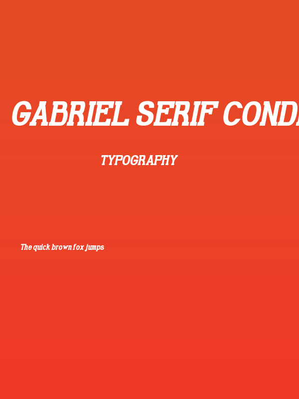 Gabriel Serif Condensed Bold Italic Poster
