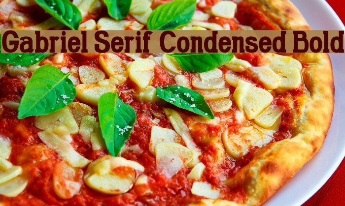 Gabriel Serif Condensed Bold لخطوط تنزيل examples