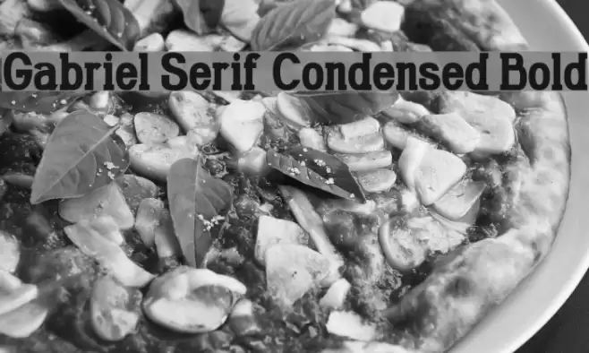 Gabriel Serif Condensed Bold خط examples