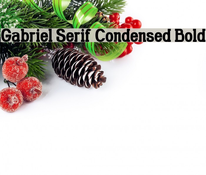 Gabriel Serif Condensed Bold لخطوط تنزيل examples