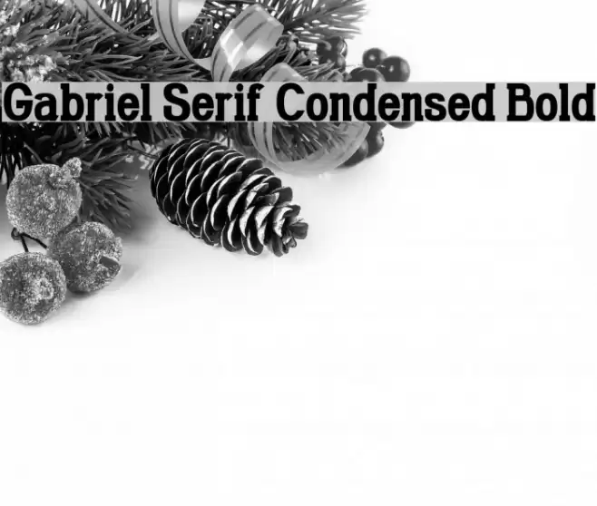 Gabriel Serif Condensed Bold خط examples