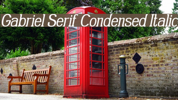 Gabriel Serif Condensed Italic Font examples