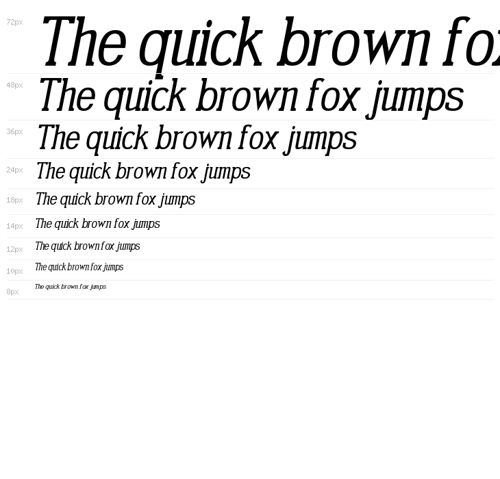 Gabriel Serif Condensed Italic Waterfall