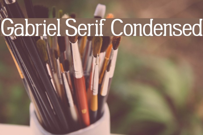 Gabriel Serif Condensed Font examples