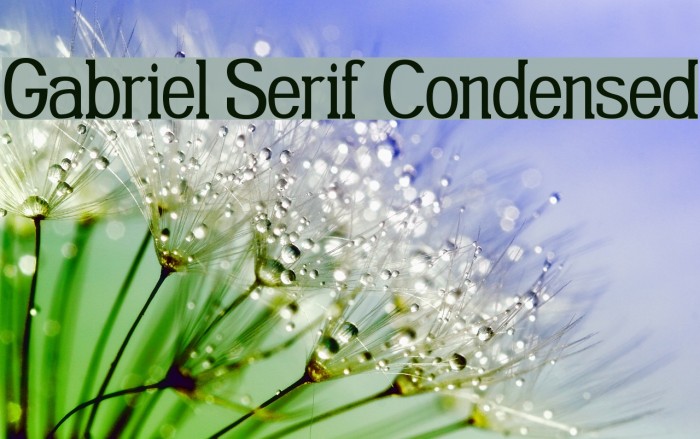 Gabriel Serif Condensed Font examples