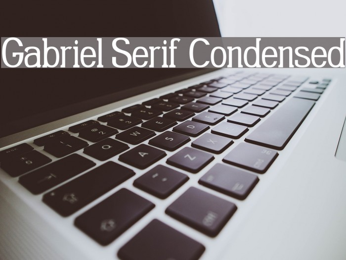 Gabriel Serif Condensed Font examples