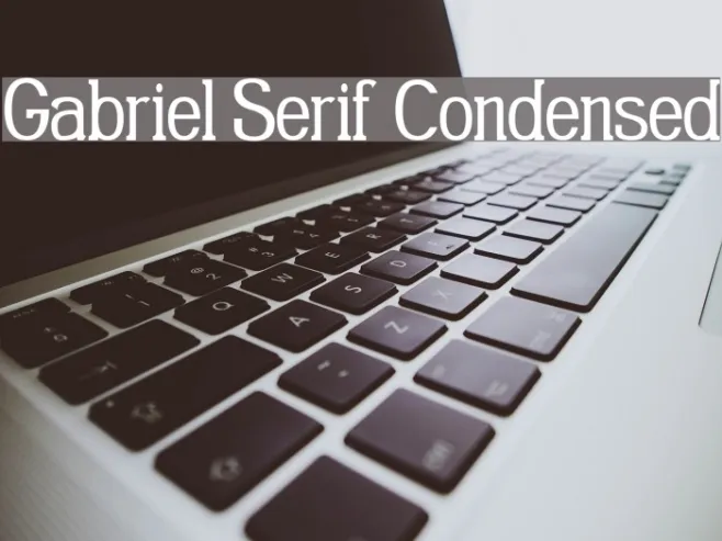 Gabriel Serif Condensed Example 3