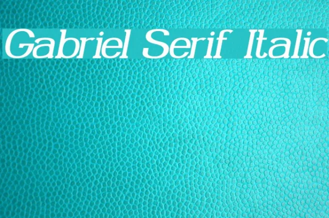 Gabriel Serif Italic Example 2