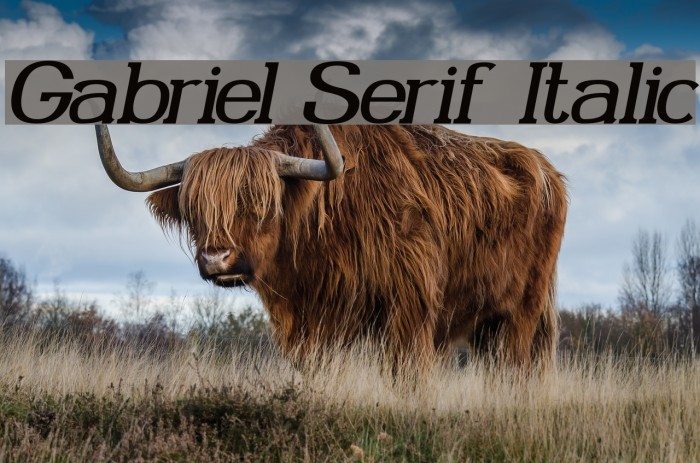 Gabriel Serif Italic Font examples