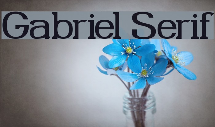 Gabriel Serif Font examples