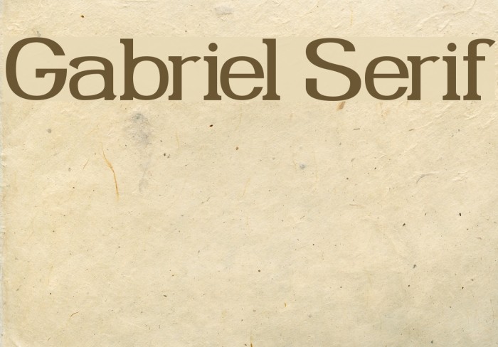 Gabriel Serif Font examples
