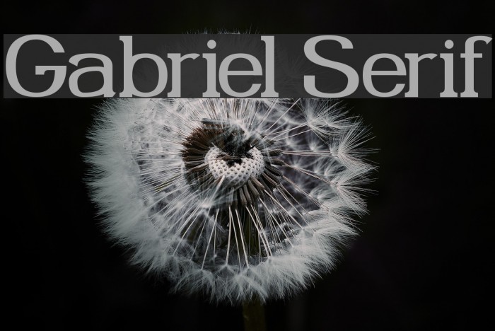 Gabriel Serif Font examples