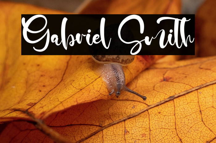 Gabriel Smith Example 1