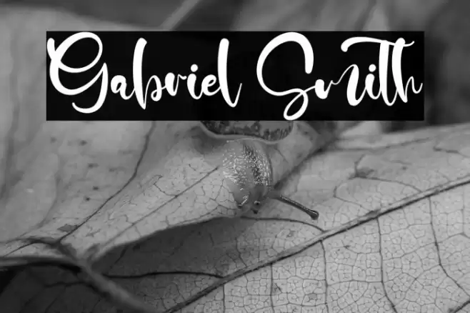 Gabriel Smith Font examples