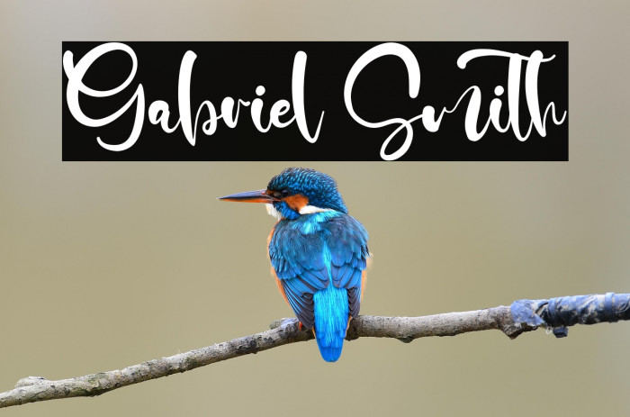 Gabriel Smith Example 2