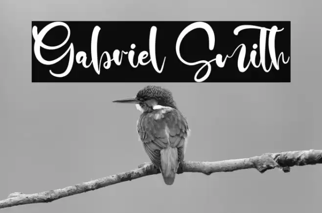 Gabriel Smith Font examples