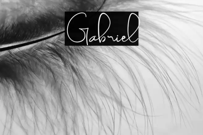 Gabriel Font examples