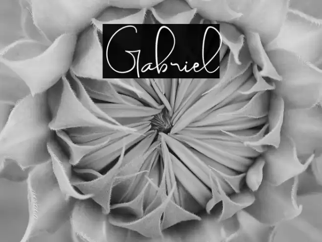 Gabriel Font examples