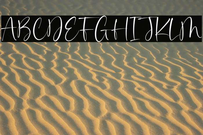 Gabriela Couture Example 3