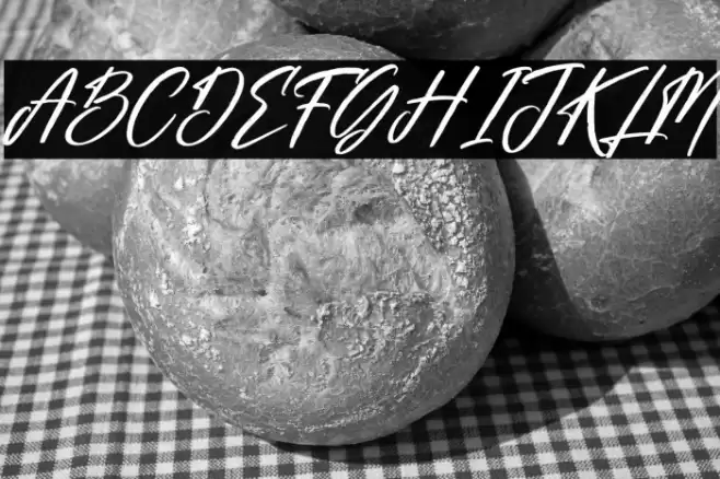 Gabriela Ragile Italic Font examples