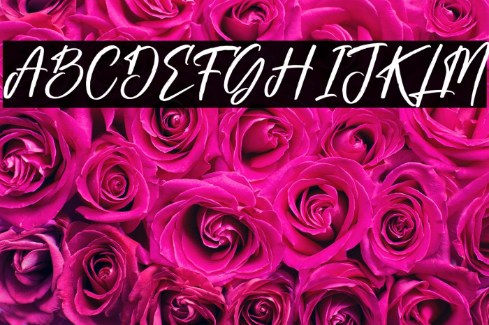 Gabriela Ragile Example 1