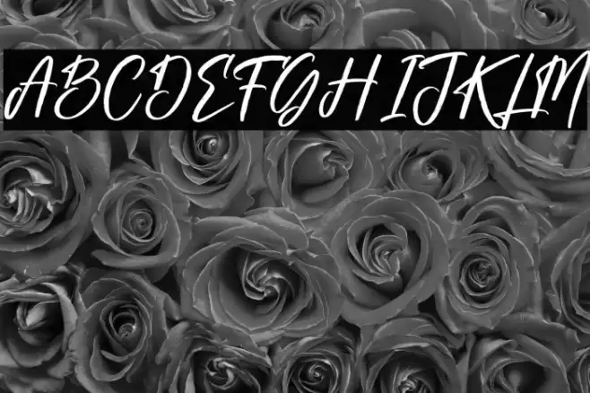 Gabriela Ragile Font examples