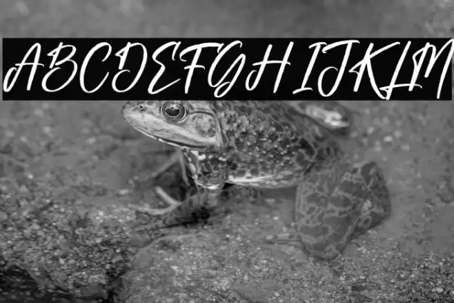 Gabriela Ragile Font examples