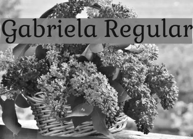 Gabriela Regular Font examples