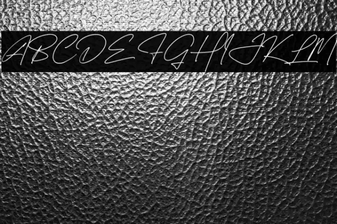 Gabriela Smithasa Polices examples