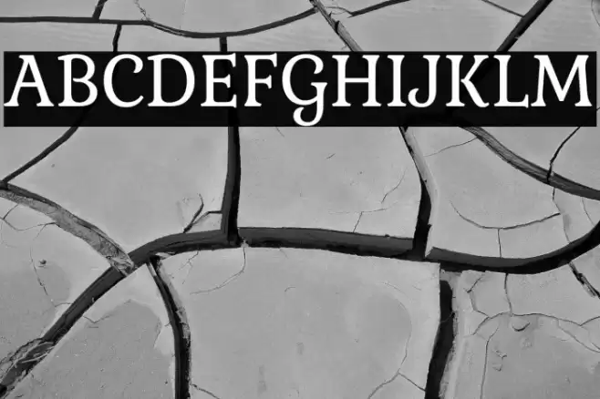 Gabriela Font examples