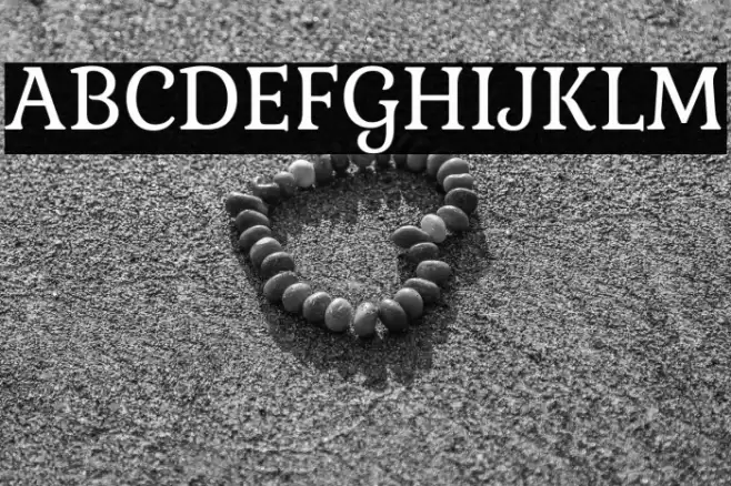 Gabriela Font examples