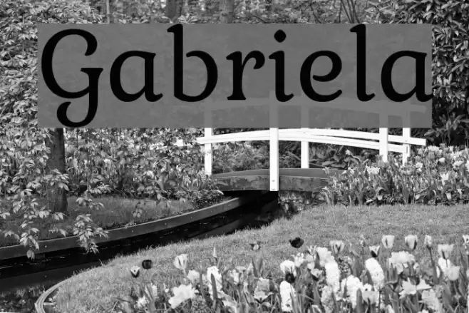 Gabriela Font examples
