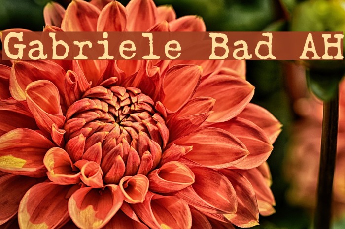 Gabriele Bad AH Font examples