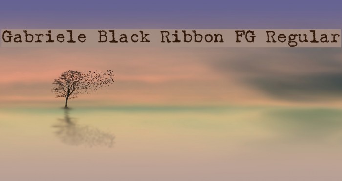 Gabriele Black Ribbon FG Regular Example 1