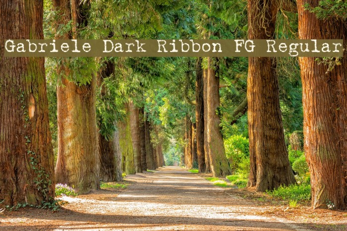Gabriele Dark Ribbon FG Regular Example 1