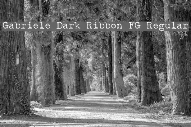 Gabriele Dark Ribbon FG Regular Font examples