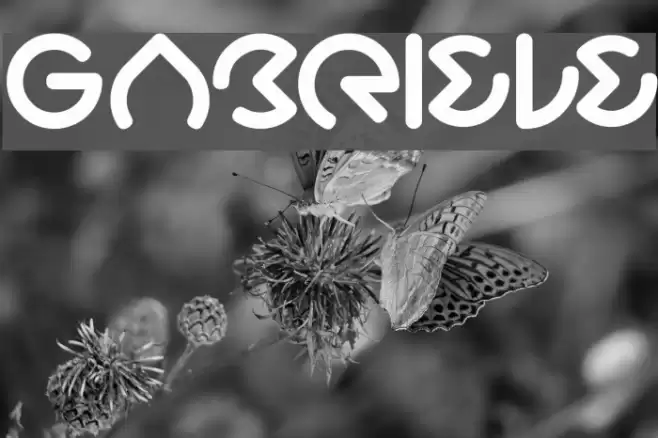 Gabriele Font examples