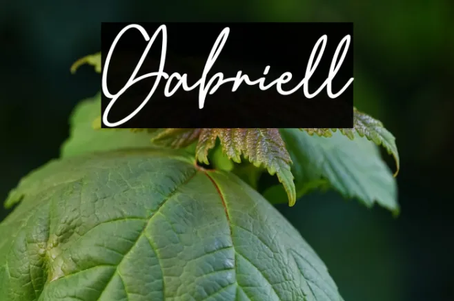 Gabriell Example 2