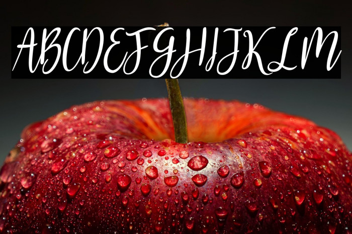 Gabriella One Bold Example 2