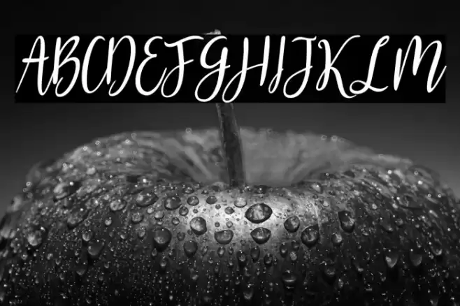 Gabriella One Bold Font examples